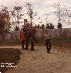 The Elephant Trail